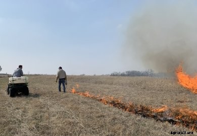 Setting fire during a prescribed burn. 